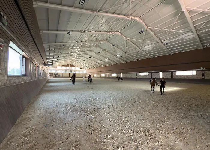 Hotel Magical House 4*